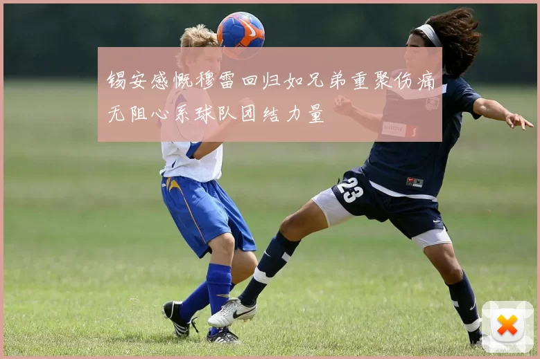 锡安感慨穆雷回归如兄弟重聚伤痛无阻心系球队团结力量